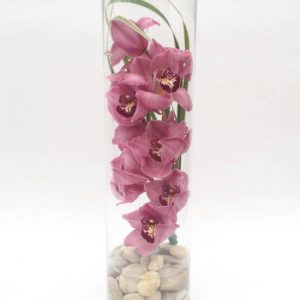 Tourbillons d'orchidées