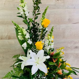 Arrangement Valencia