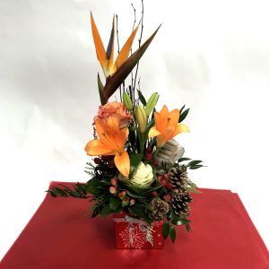Arrangement Noël Tropical