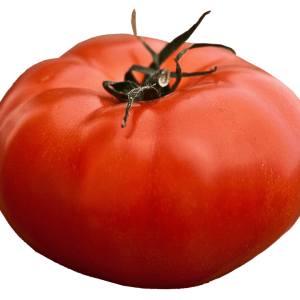 Tomate rouge Big Beef (2 gallons)